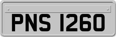 PNS1260