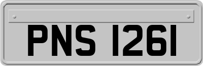 PNS1261