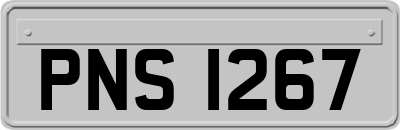 PNS1267