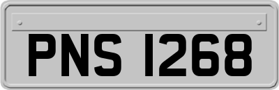 PNS1268