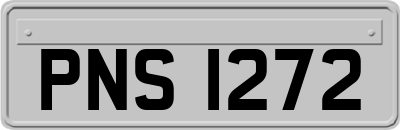 PNS1272