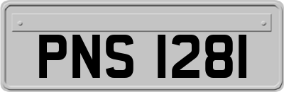 PNS1281
