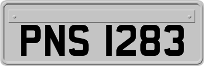 PNS1283