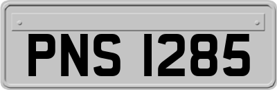 PNS1285