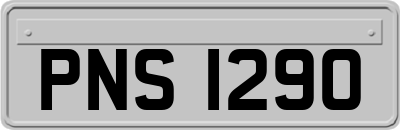PNS1290