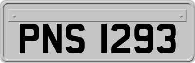 PNS1293