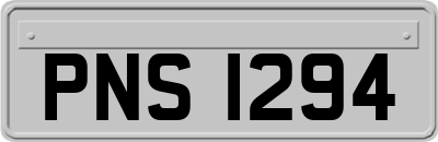 PNS1294