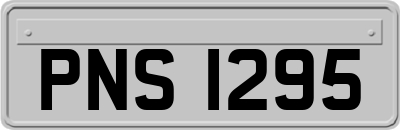 PNS1295