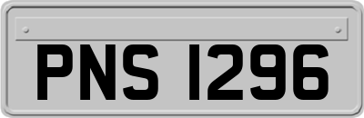 PNS1296