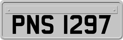 PNS1297