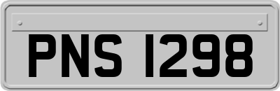 PNS1298