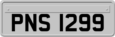 PNS1299