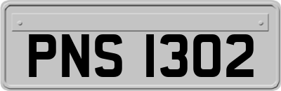 PNS1302