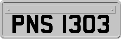 PNS1303