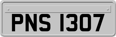 PNS1307