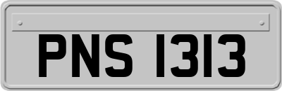 PNS1313