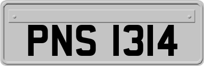 PNS1314