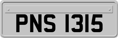PNS1315