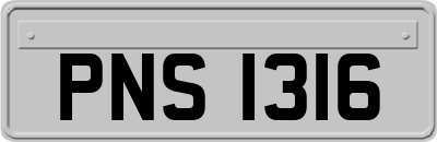 PNS1316