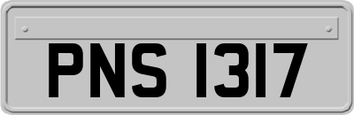 PNS1317