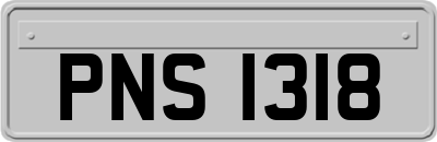 PNS1318