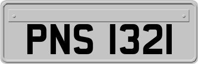 PNS1321