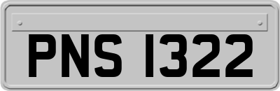PNS1322