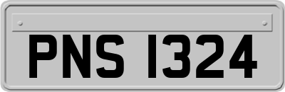 PNS1324