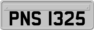 PNS1325