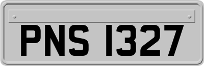 PNS1327