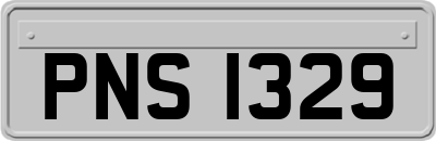 PNS1329
