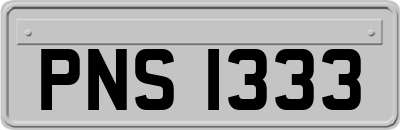 PNS1333