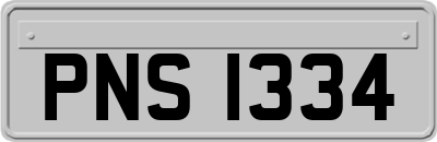 PNS1334