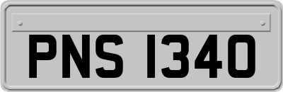 PNS1340
