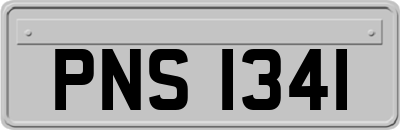 PNS1341