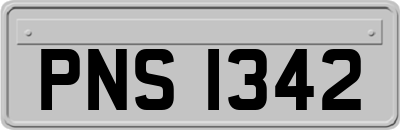 PNS1342