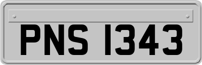 PNS1343