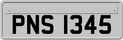 PNS1345