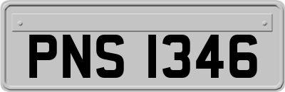 PNS1346