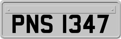 PNS1347