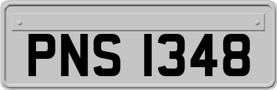PNS1348