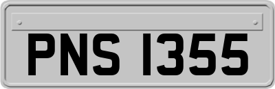 PNS1355
