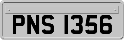 PNS1356