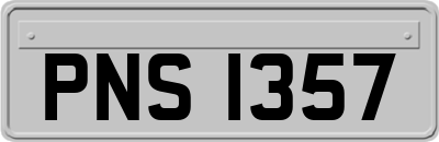 PNS1357