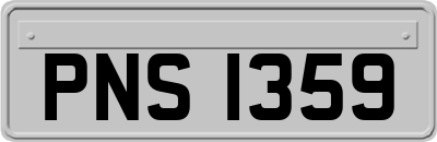 PNS1359