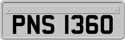 PNS1360