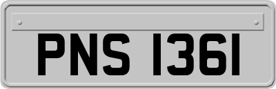 PNS1361