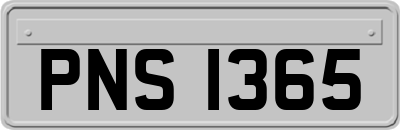 PNS1365
