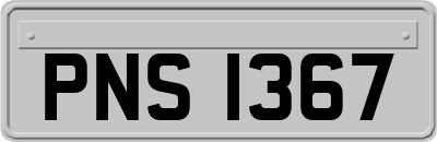 PNS1367