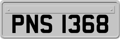 PNS1368